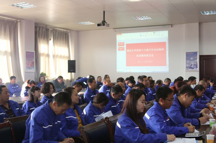 4688美高梅登录中心(中国)有限公司官网